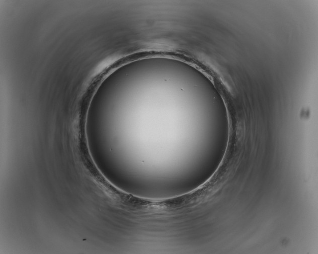 X0000097611315200802291253