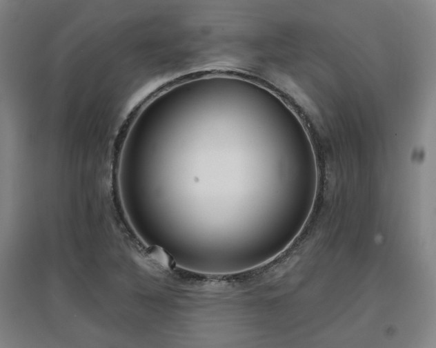 X0000097611316200802291253