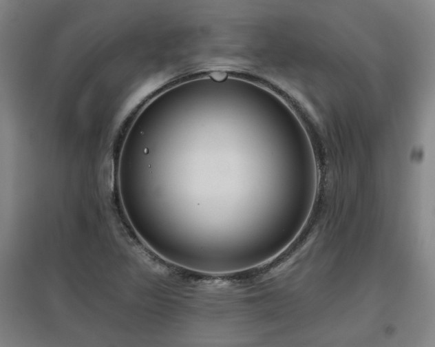 X0000097611317200802291253