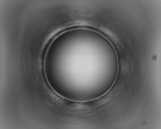 X0000097611318200802291253