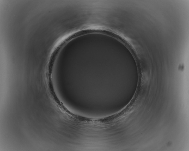 X0000097611319200802291253