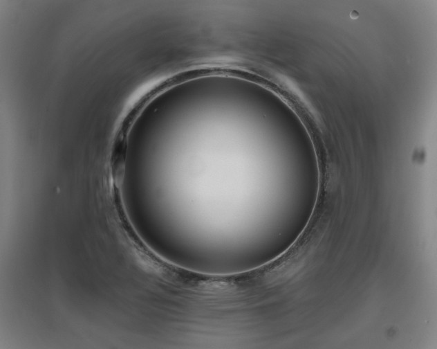 X0000097611320200802291253