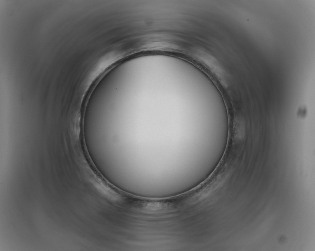 X0000097611322200802291253