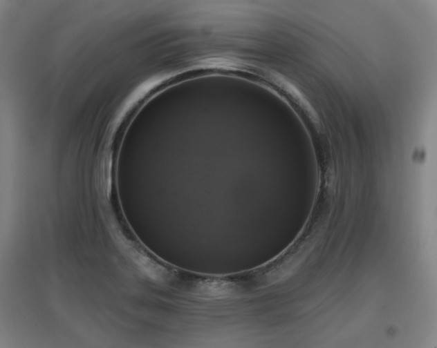X0000097611323200802291253