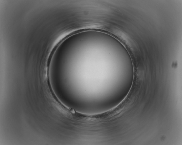 X0000097611324200802291253
