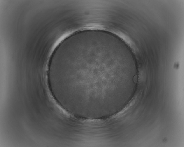 X0000097611325200802291253