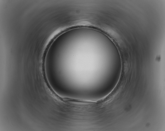 X0000097611326200802291253