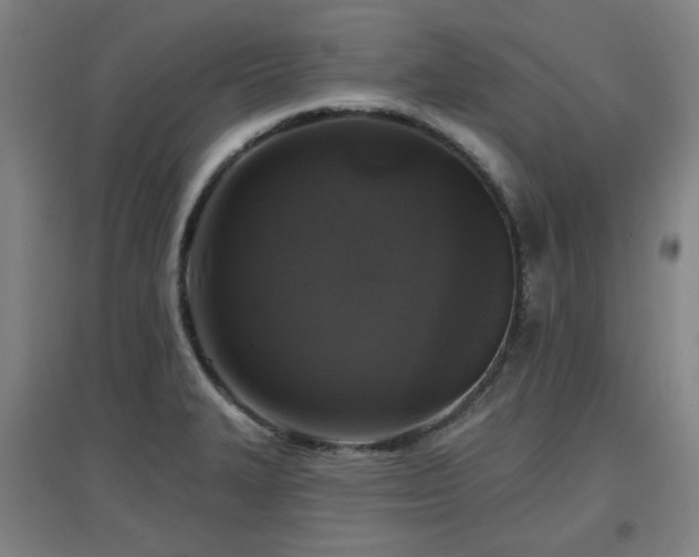 X0000097611327200802291253