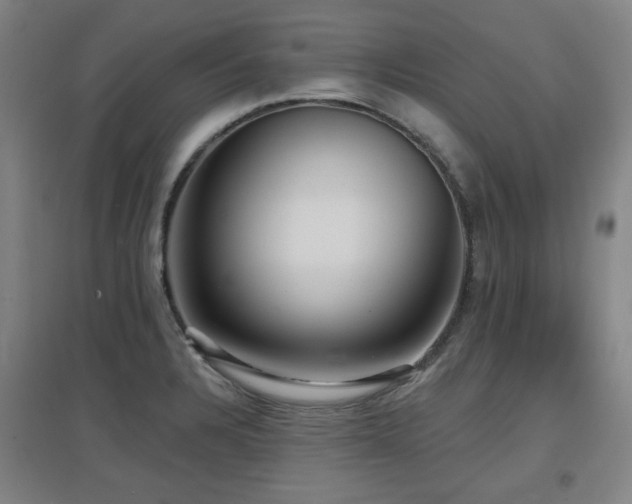 X0000097611328200802291253