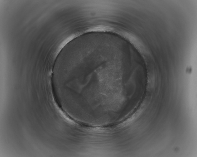 X0000097611329200802291253