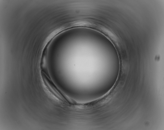 X0000097611330200802291253