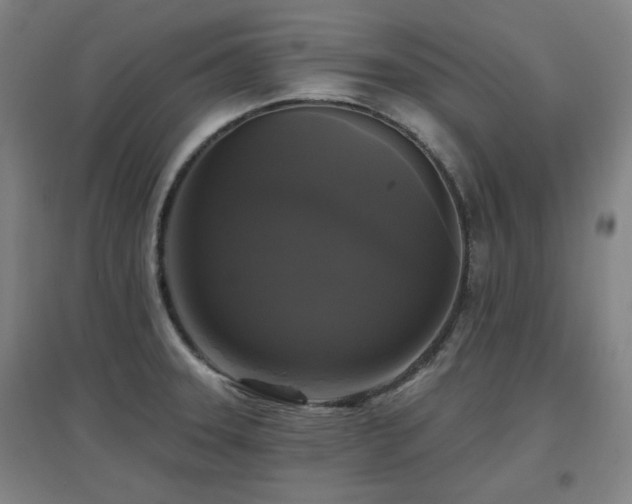 X0000097611331200802291253