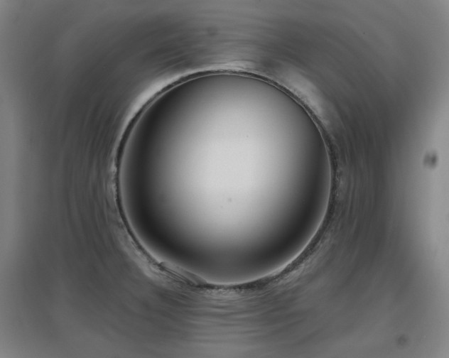 X0000097611332200802291253