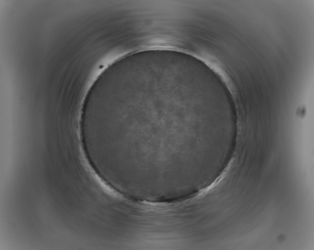 X0000097611333200802291253