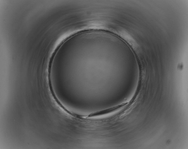 X0000097611334200802291253