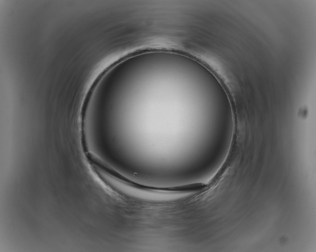 X0000097611335200802291253