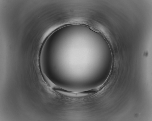 X0000097611336200802291253
