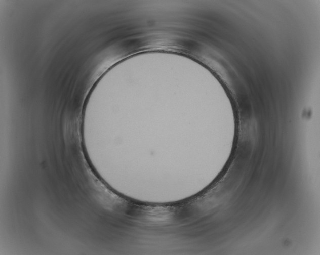 X0000097611338200802291253