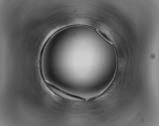 X0000097611339200802291253