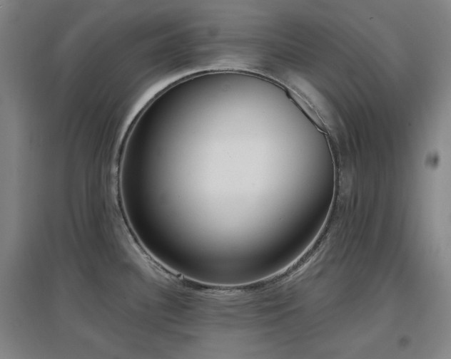 X0000097611340200802291253