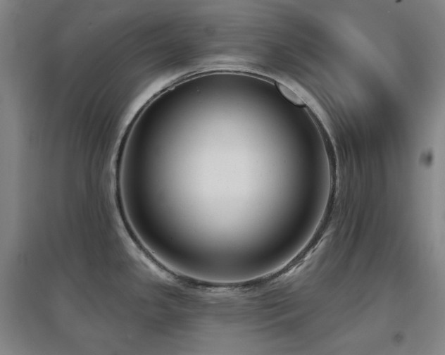 X0000097611341200802291253