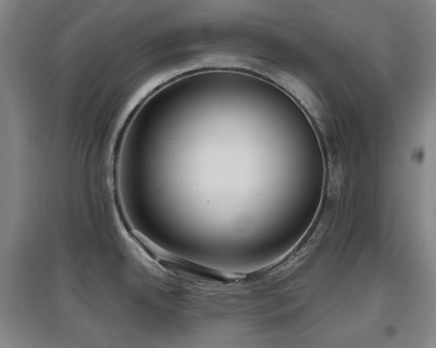 X0000097611342200802291253