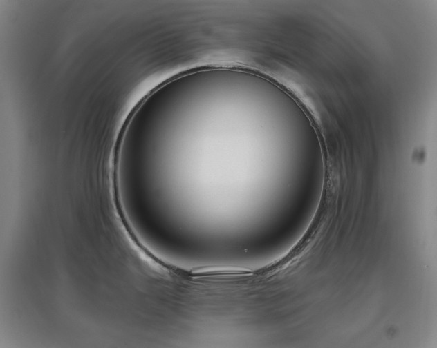 X0000097611343200802291253