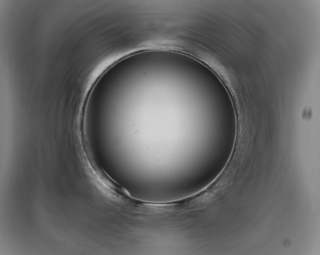 X0000097611344200802291253