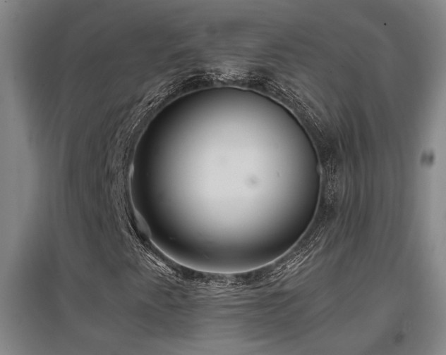 X0000097611345200802291252