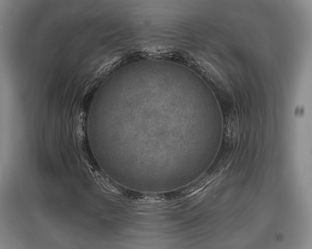 X0000097611346200802291252