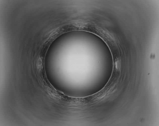 X0000097611347200802291252