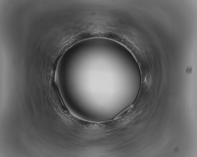 X0000097611348200802291252