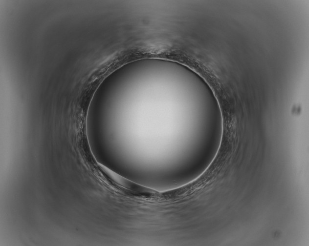 X0000097611349200802291252