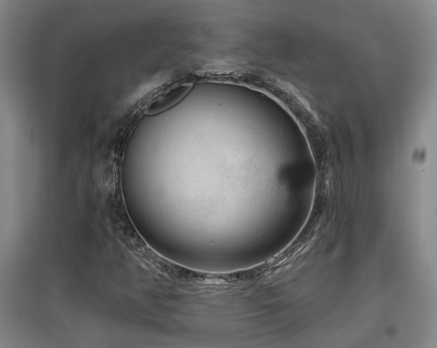 X0000097611350200802291252