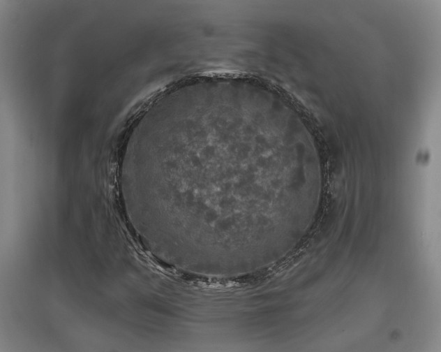 X0000097611351200802291252