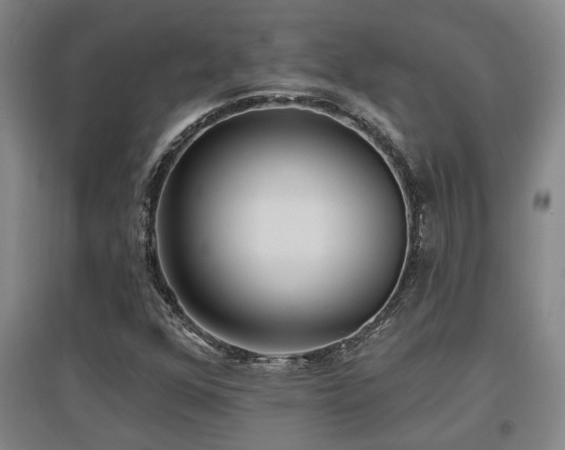 X0000097611352200802291252