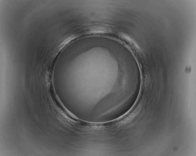 X0000097611353200802291252