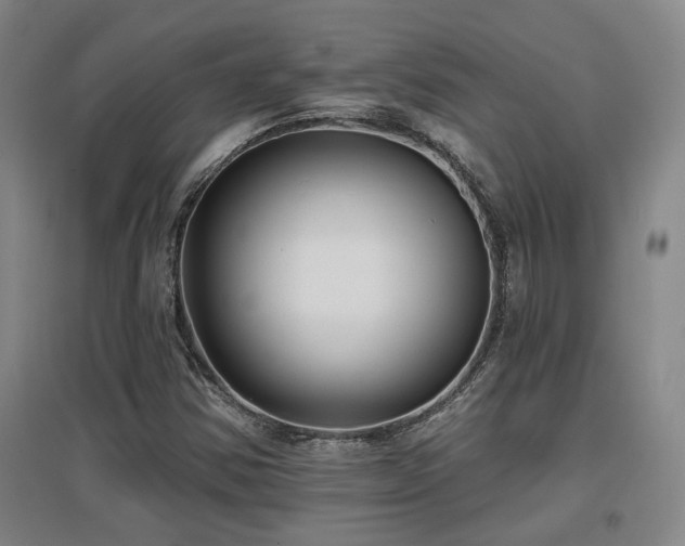 X0000097611354200802291252