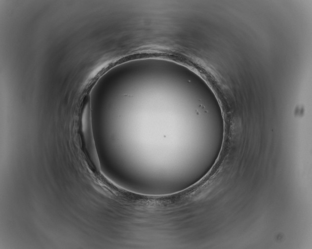 X0000097611355200802291252