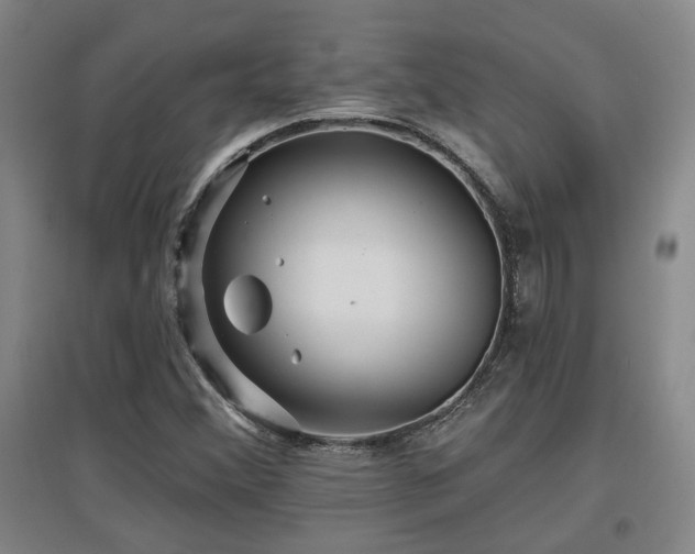 X0000097611356200802291252