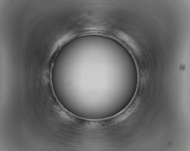 X0000097611357200802291252