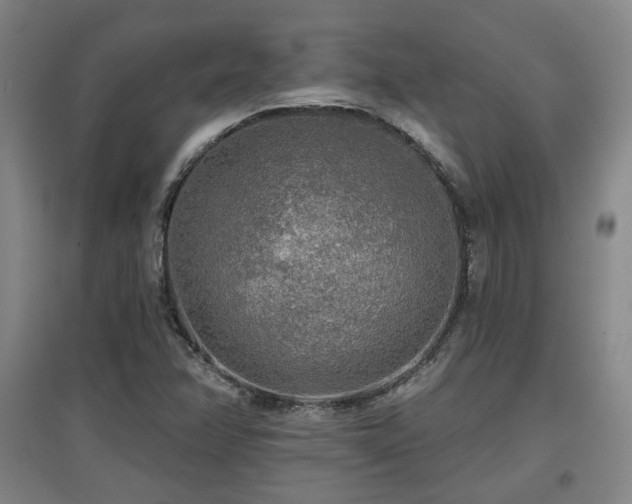 X0000097611358200802291252