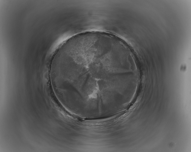 X0000097611359200802291252