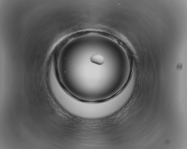 X0000097611360200802291252