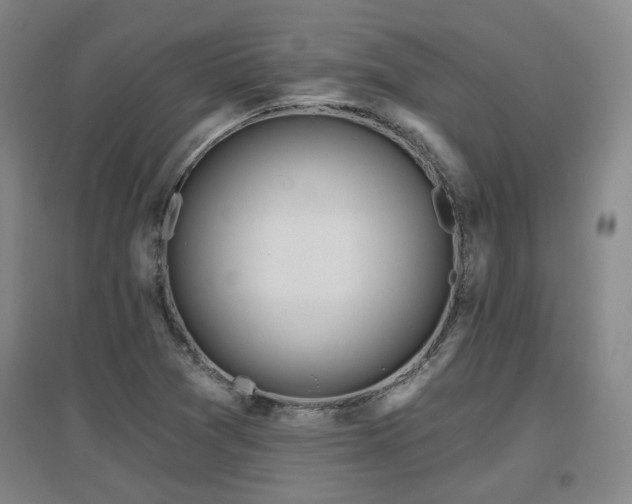 X0000097611361200802291252