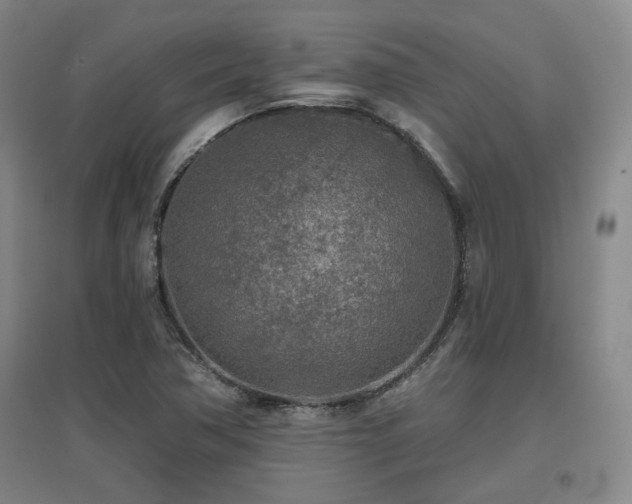 X0000097611362200802291252