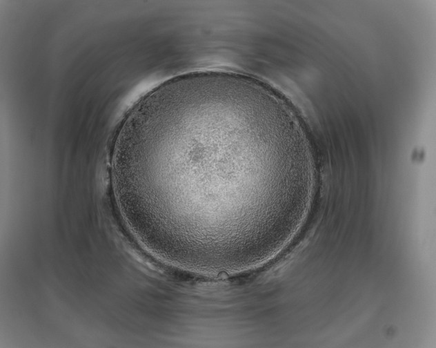 X0000097611363200802291252