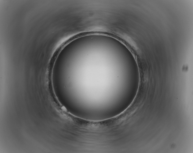 X0000097611364200802291252