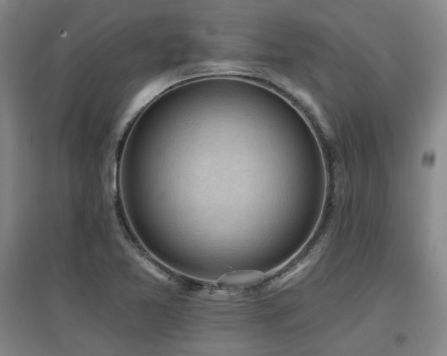 X0000097611365200802291252