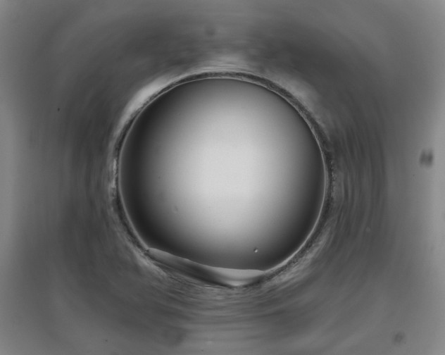 X0000097611366200802291252